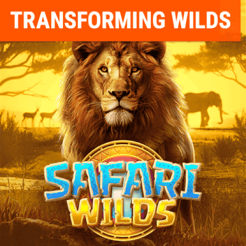 Safari Hoang Dã