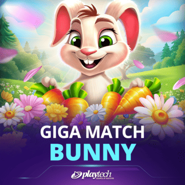 Giga Match Bunny